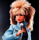 Tina Turner Doll