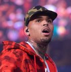 Chris Brown was arrested in Palm Beach County on a felony assault charge